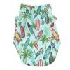 Surferboards and Palms
