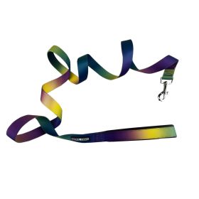 American River Ombre Leash - Cosmic Splash (size: 1 inch wide x 6 feet long)